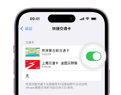 新平apple维修点分享iPhone上更换Apple Pay快捷交通卡手绘卡面 