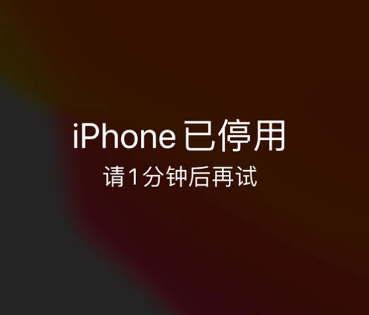 新平苹果手机维修分享:iPhone 显示“不可用”或“已停用”怎么办？还能保留数据吗？ 