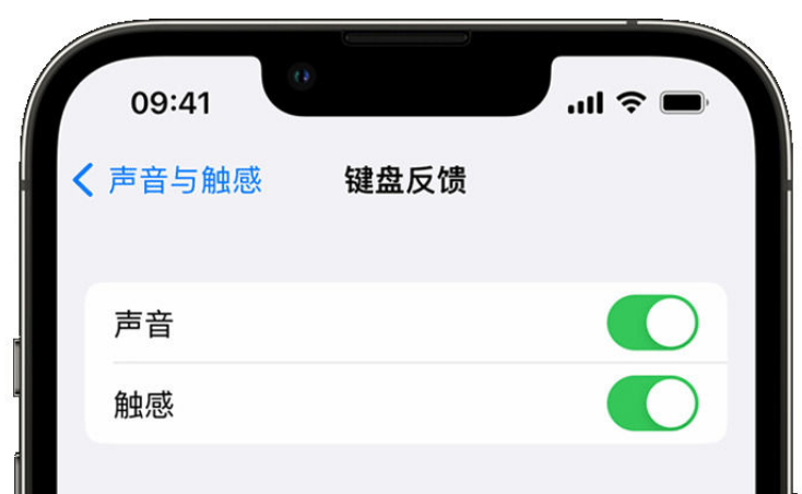 新平苹果手机维修分享iPhone 14触感键盘使用方法 