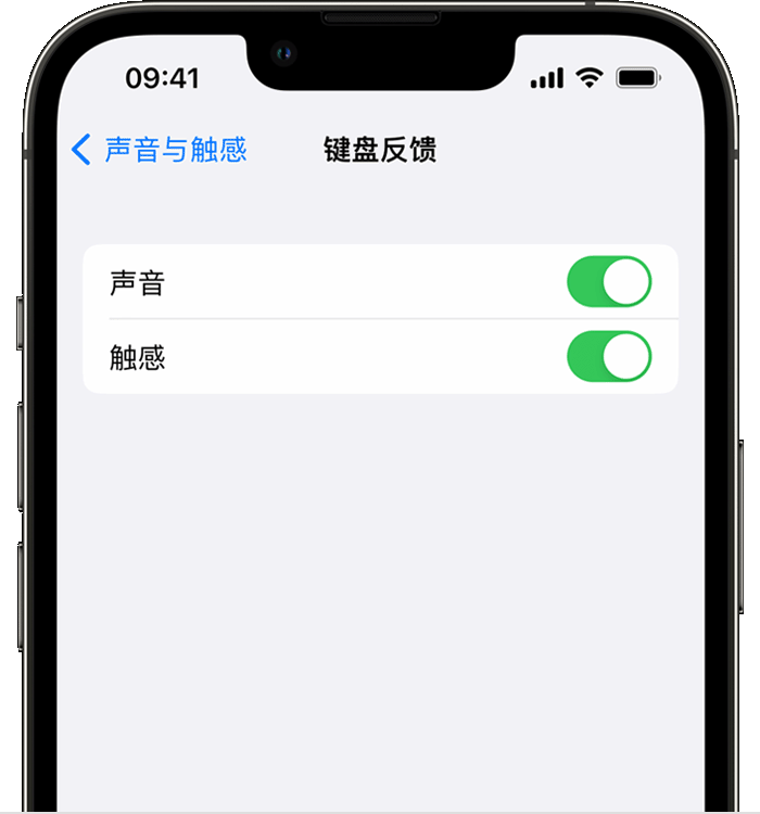 新平苹果14维修店分享如何在 iPhone 14 机型中使用触感键盘 