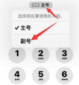 新平苹果14维修店分享iPhone 14 Pro Max使用副卡打电话的方法 