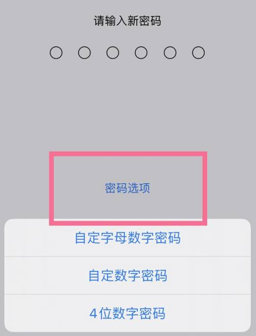 新平苹果14维修分享iPhone 14plus设置密码的方法 