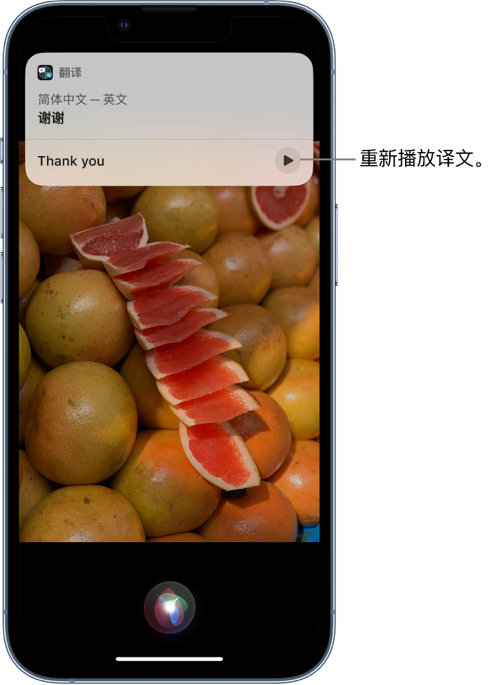 新平苹果14维修分享 iPhone 14 机型中使用 Siri：了解 Siri 能帮你做什么 