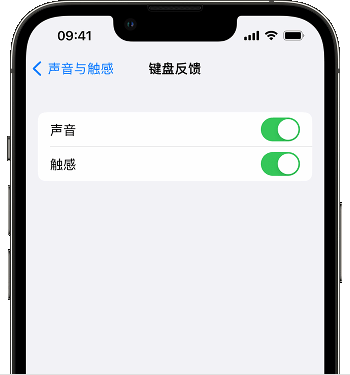新平苹果14维修分享iPhone 14 系列机型如何开启键盘声音或触感反馈 