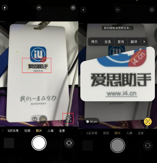 新平苹果手机维修分享升级iOS 16后如何通过相机翻译文本 
