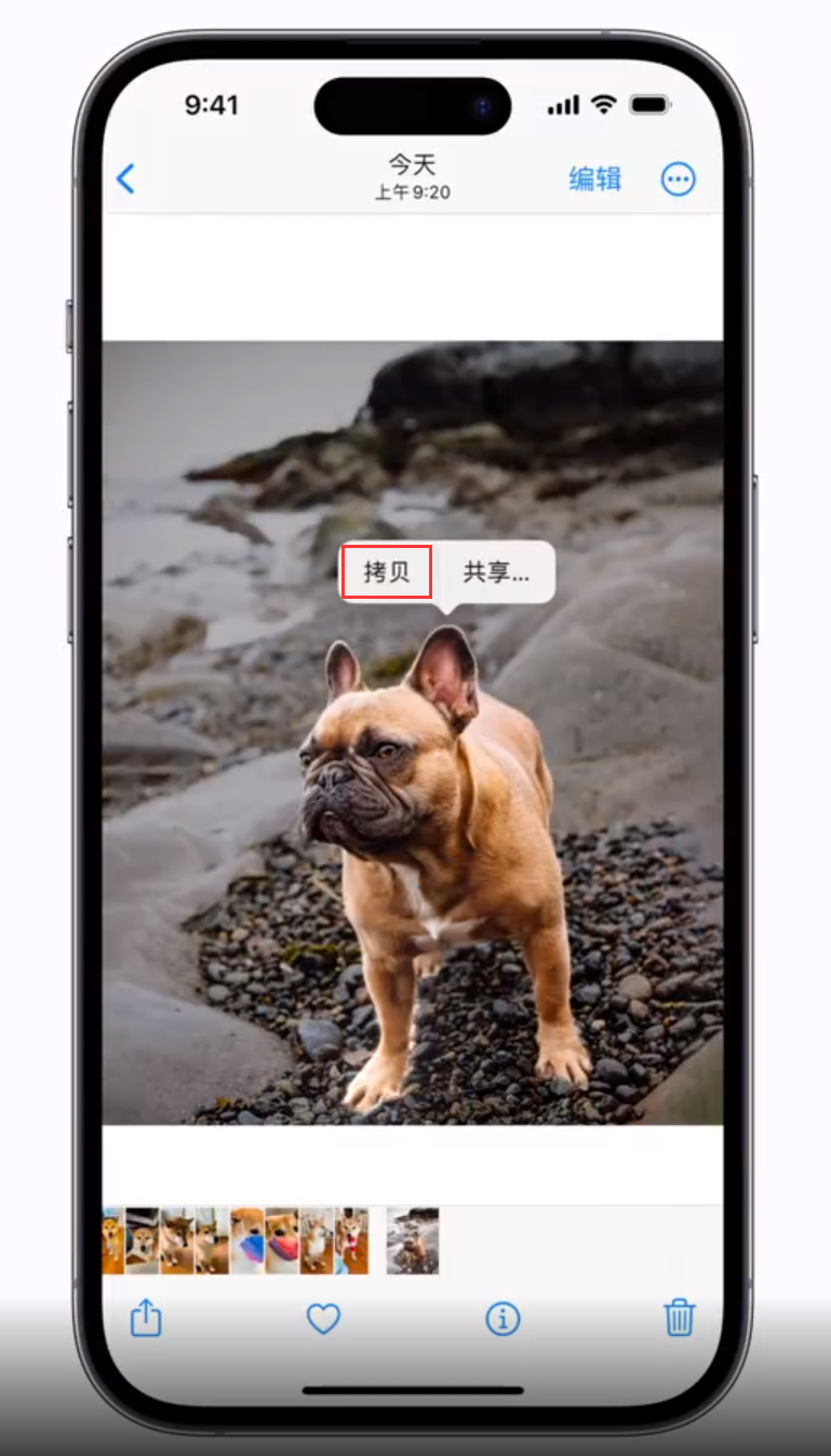 新平苹果手机维修分享 iOS 16 自带一键抠图功能 