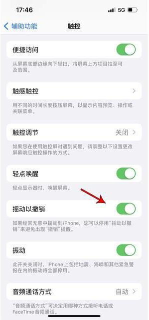 新平苹果手机维修分享iPhone手机如何设置摇一摇删除文字 