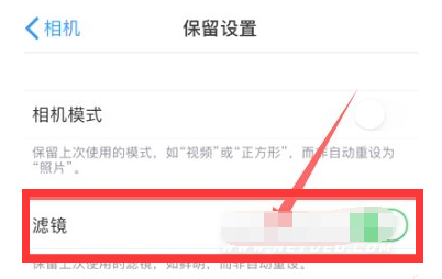 新平苹果13维修分享iPhone13拍照有绿点是怎么回事 