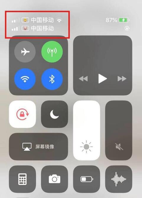 新平苹果手机维修分享为 iPhone 12 双卡设置标签 